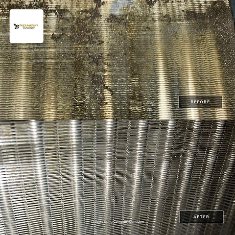 Mold in duct work
