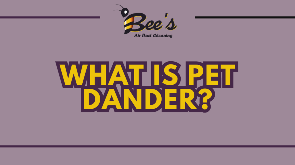 what is pet dander